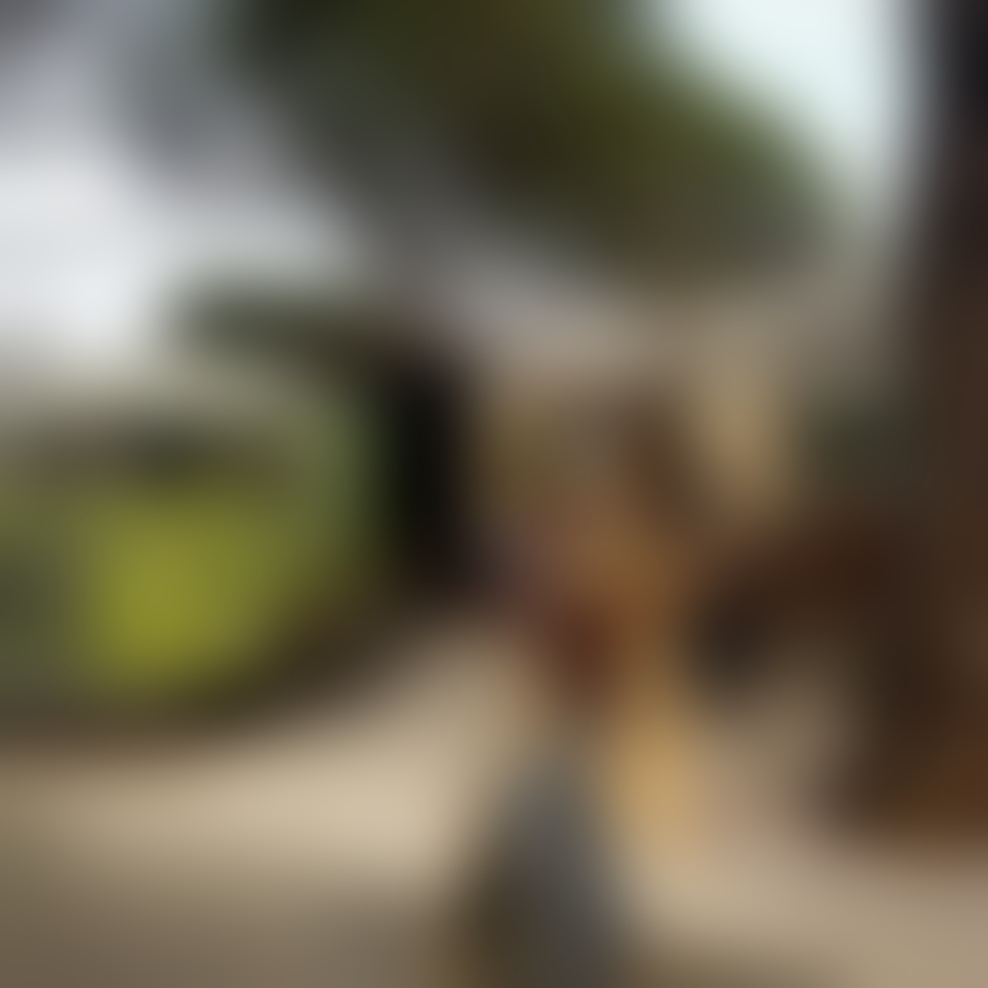 Prvi GreenFoodMarket zaživel prav v poletnem Portorožu