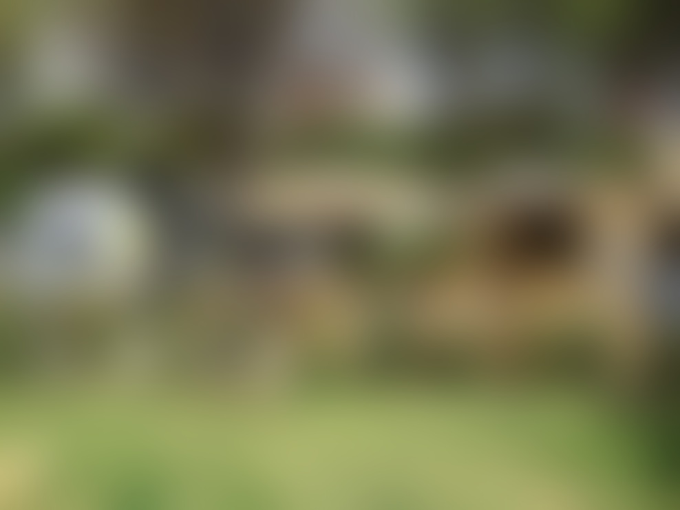 Prvi GreenFoodMarket zaživel prav v poletnem Portorožu