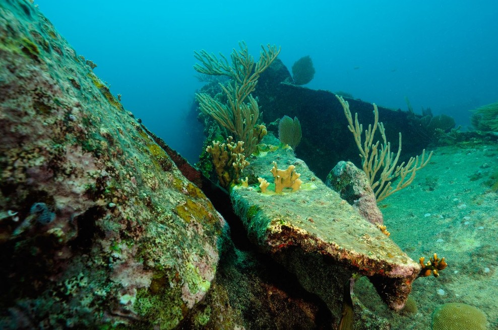 Na National Geographic Channel prihaja 60 - minutna oddaja - Nacistični napad na Ameriko! (foto: profimedia)