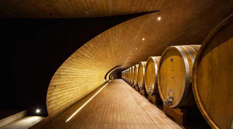 Najlepše vinarne v Evropi (foto: Shutterstock, promocijsko gradivo)