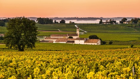 Bordeaux - svetovna vinska prestolnica