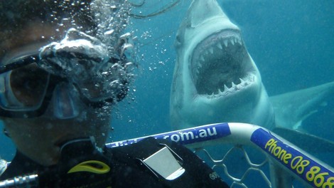 Zaradi selfijev umre več ljudi kot zaradi napada morskega psa!