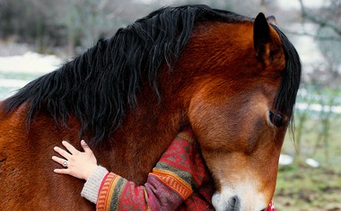 Natalie C. Postružnik: "Konj je fascinantna žival!"
