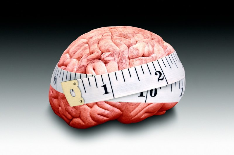 Ni »moških« in »ženskih« možganov, zdaj trdijo nevroznanstveniki! (foto: profimedia)