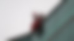 Spust Božičkov z ljubljanske pediatrije in zbiranje donacij za prizidek!