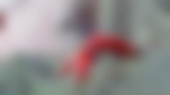 Spust Božičkov z ljubljanske pediatrije in zbiranje donacij za prizidek!