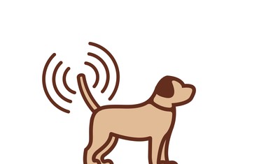 Pasja pekarna HOV-HOV z agencijo Luno s Crackin' Dog petardami za kužke in prvim pasjim radiom!
