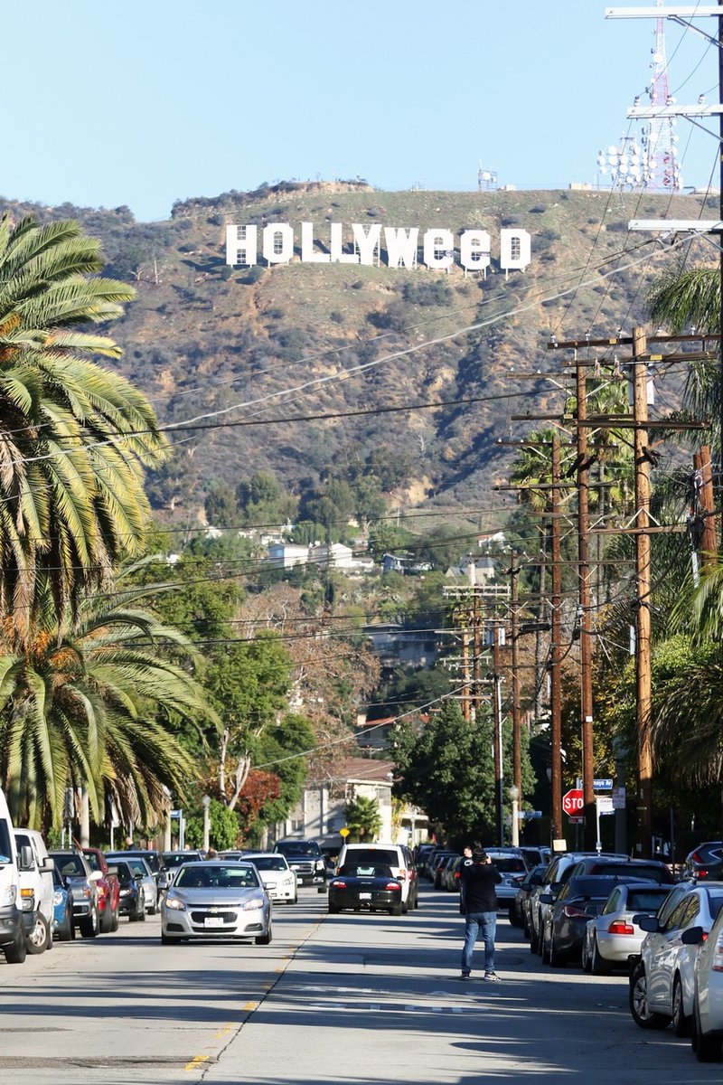 Los Angeles: Neznani storilec spremenil napis Hollywood v Hollyweed! (foto: profimedia)
