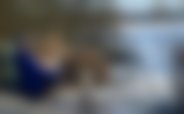 Foto: Koseški bajer te dni privablja številne sprehajalce in drsalce!