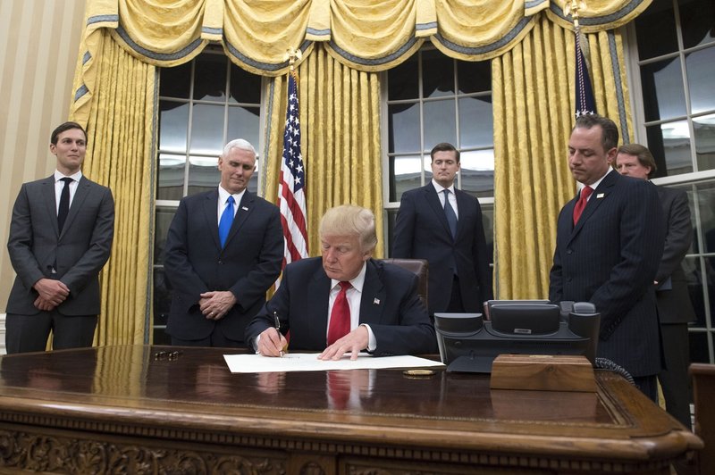 Zavese Bele hiše so že v Trumpovi zlati barvi! (foto: profimedia)