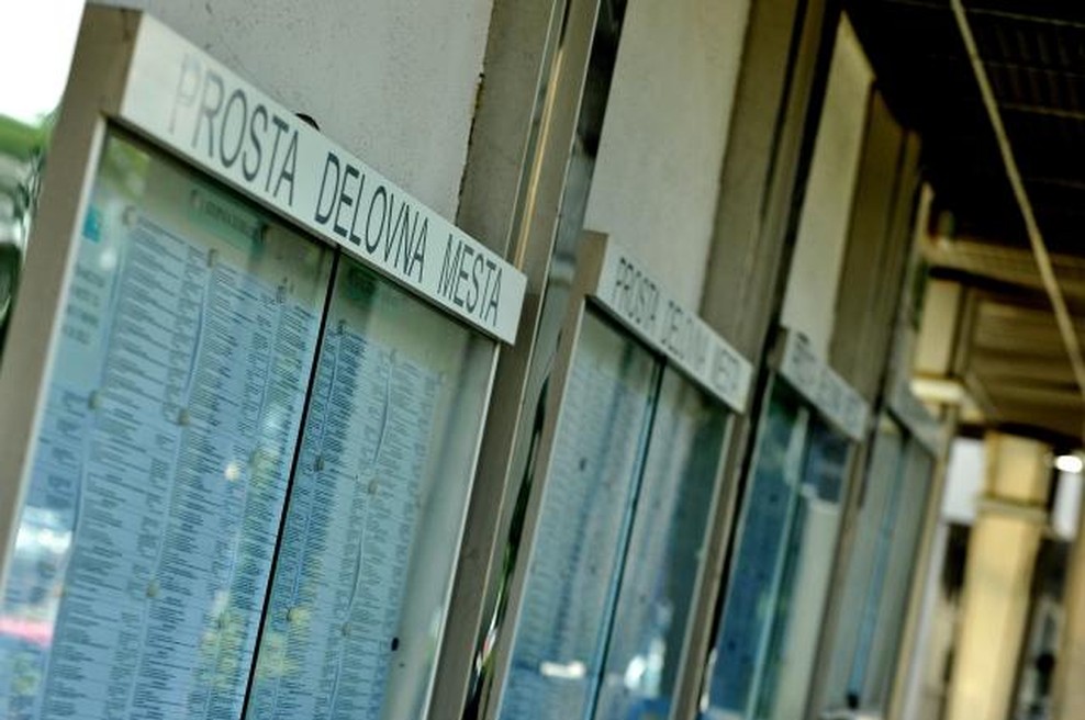 Novost za vse brezposelne! Odslej je delovni preizkus mogoč za vse! (foto: STA)