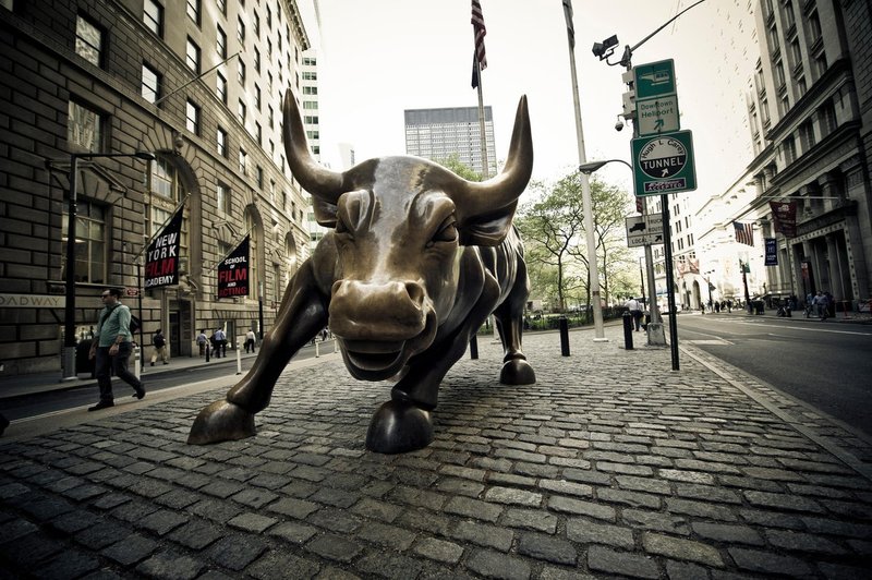 Po New Yorku so lovili živega bika, ki je pobegnil iz klavnice! (foto: profimedia)