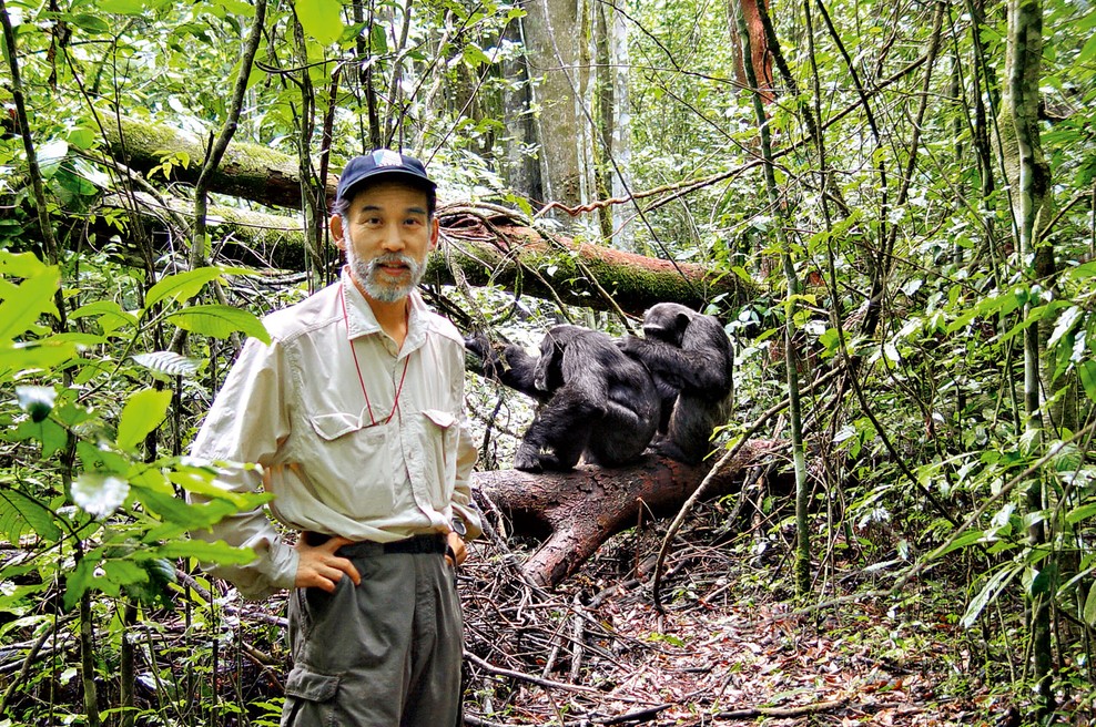 Odkrijte skrivni svet primatov: Vzpon bojevniških opic (foto: Discovery Channel)