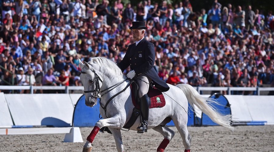 Najlepši beli lipicanci premierno v Lipici! (foto: Boris Pretnar)