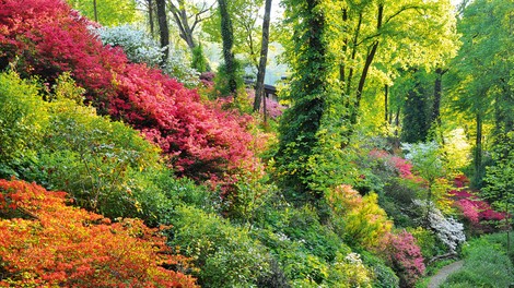 Botanični vrt Luciana Viatorija: Skrivni vrt res obstaja