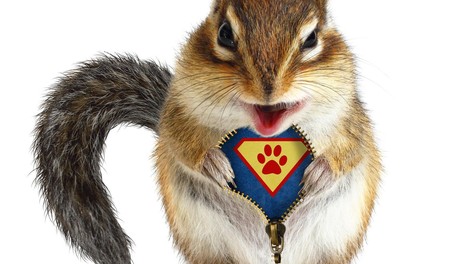 7 super sposobnosti živalskih super junakov, za katere morda še niste slišali!