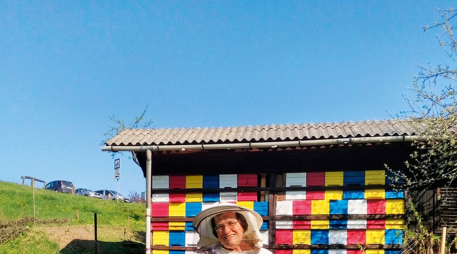 Simona Gostinčar, čebelarka: Namesto ovac izbrala čebele (foto: Nina, Dejan Ilič)