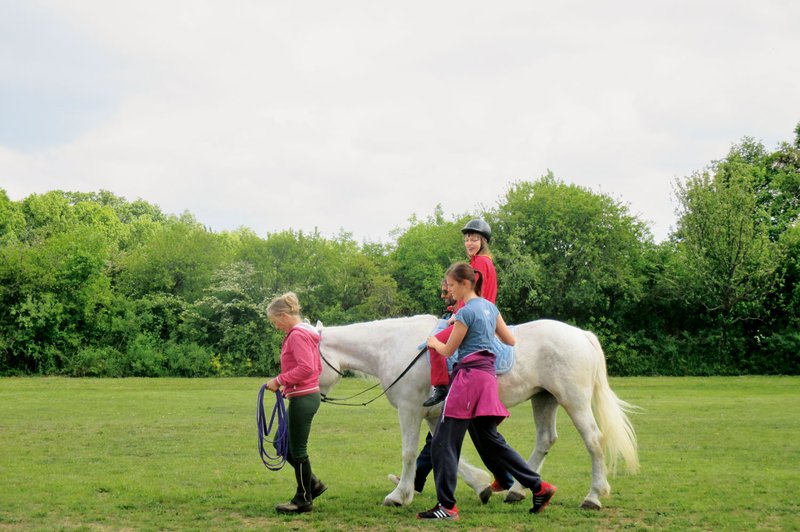 Počitniški programi Zveze Sonček: Terapija s konji je v razmahu (foto: arhiv Sonček)