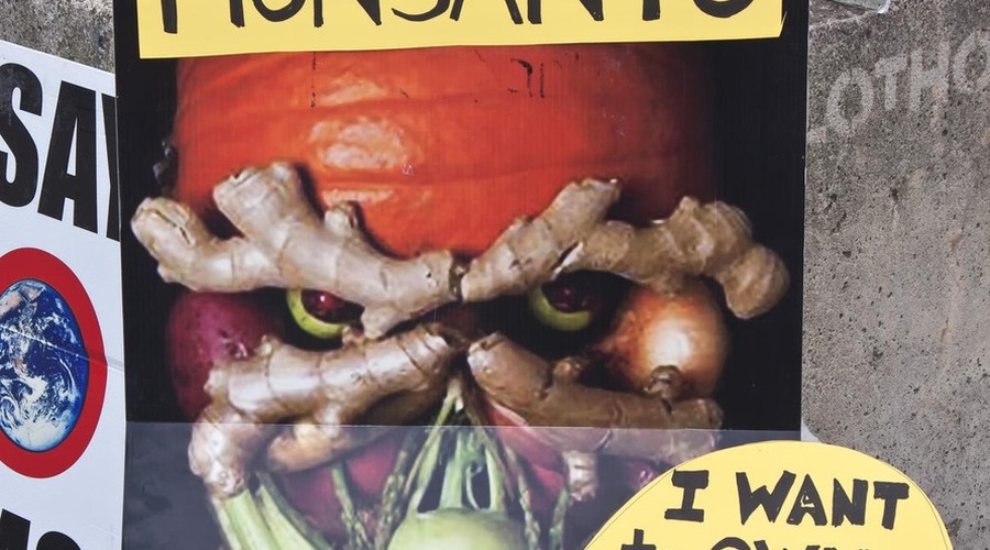 March Against Monsanto v Novi Gorici in po več kot 300 mestih sveta! (foto: profimedia)