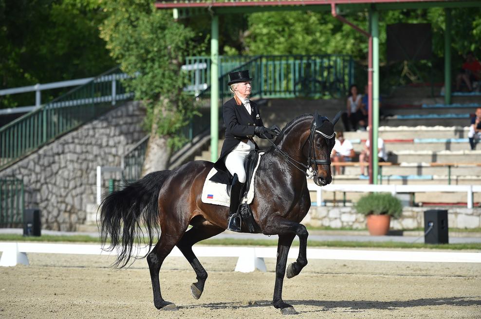 V Kobilarni Lipica se danes začenja veliko mednarodno tekmovanje za svetovni pokal v dresurnem jahanju (foto: Promo)