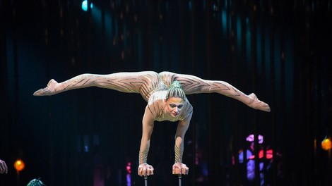 Po skoraj leto dni dolgem čakanju Cirque du Soleil končno prihajajo v Slovenijo