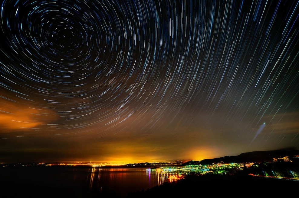 13. Kino Otok poganja korenine v čudežnem gozdu (foto: profimedia)