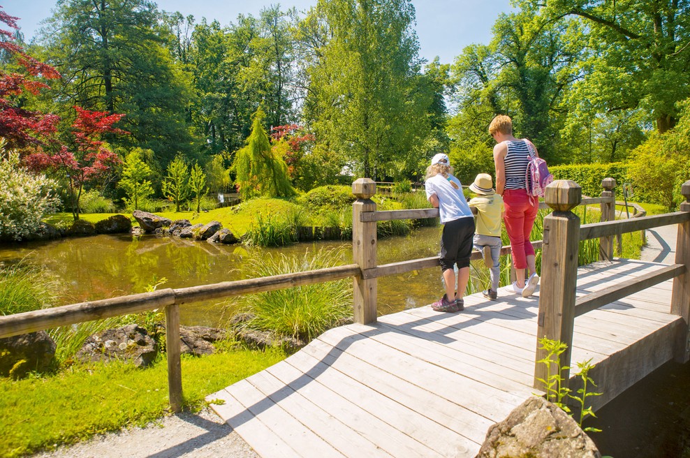 Arboretum: Sprehod med dinozavri in morskimi velikani (foto: Shutterstock, Profimedia)