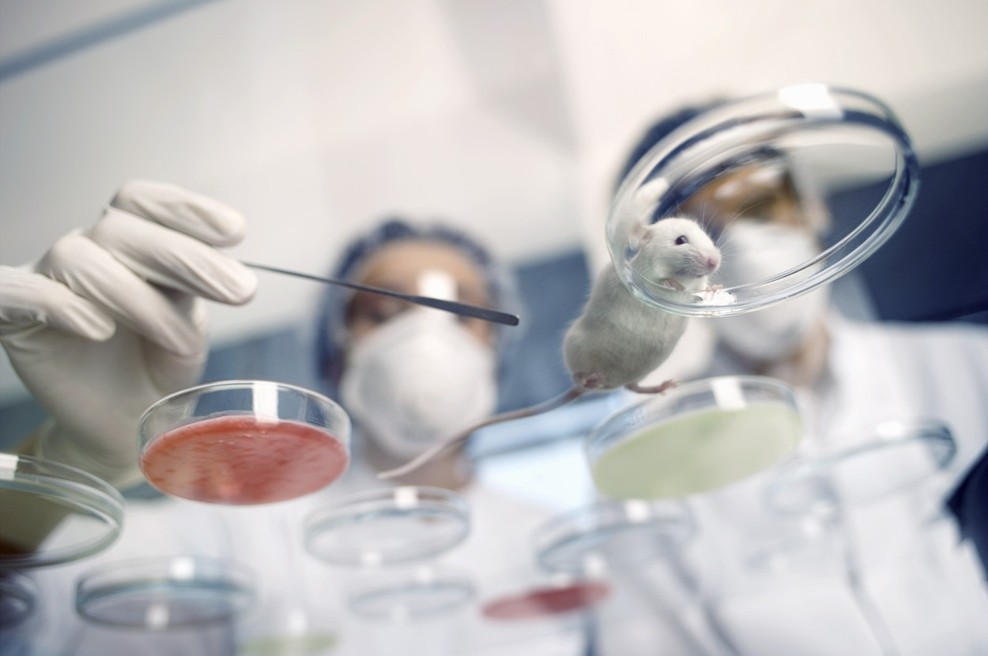 Znanstveniki so odkrili nov učinkovit antibiotik! (foto: profimedia)