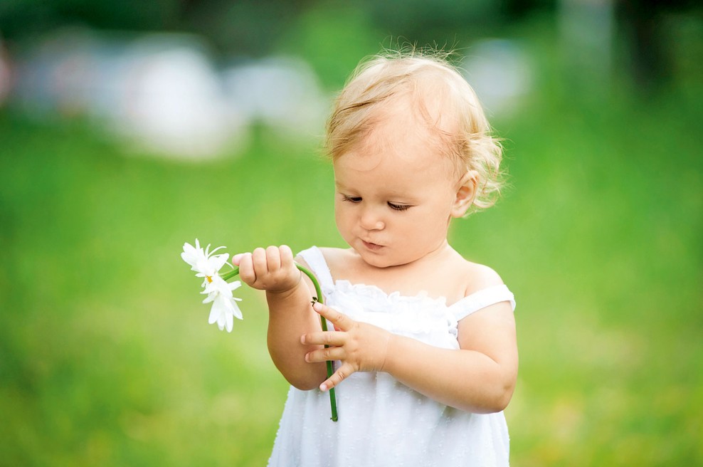 V boju s komarji: Otroci vam bodo hvaležni za naravno zaščito (foto: shutterstock)