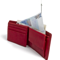 Tako bo denar kar letel v denarnico: Naši predniki so vanjo dajali te stvari (je kaj resnice v starih vražah?)