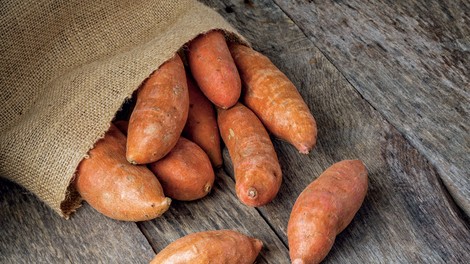 Sladki krompir: Zdrav eksot na domačem vrtu