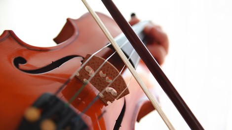 Bivšemu možu uničila violine, vredne več kot 800.000 evrov