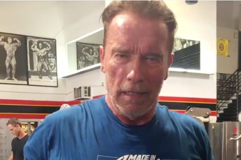 Arnold Schwarzenegger se veseli: Postal bo dedek! (foto: profimedia)