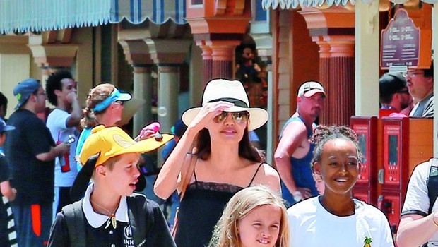 Angelina Jolie: Po ločitvi od Brada zbolela za Bellovo paralizo (foto: Profimedia)