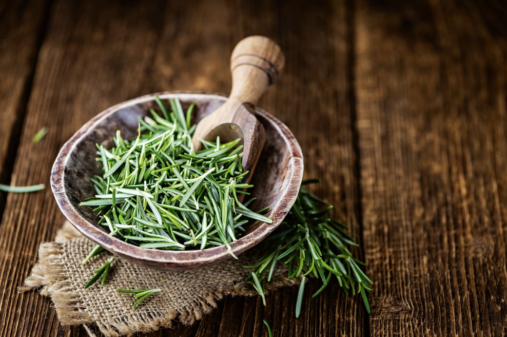 Rožmarin: Aromatičen polgrm (foto: Profimedia, Shutterstock)