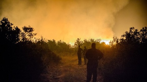 Dalmacija: Še se borijo s številnimi požari