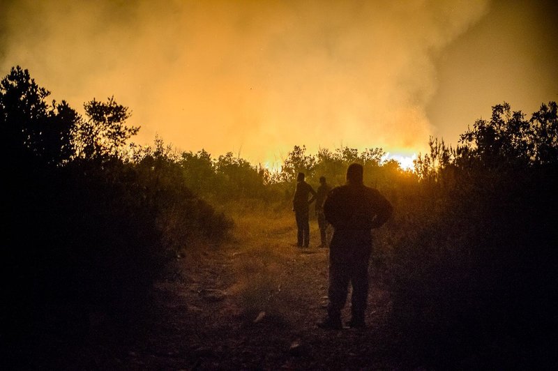 Dalmacija: Še se borijo s številnimi požari (foto: Profimedia)