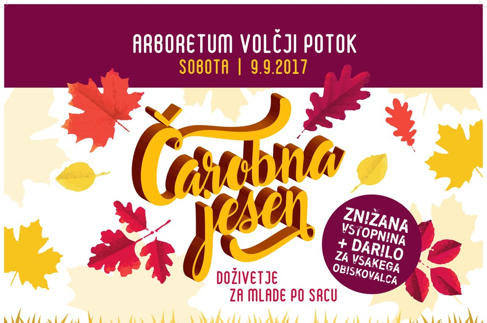 Čarobna jesen: Doživetje za aktivne in mlade po srcu! (foto: Promocijski material)