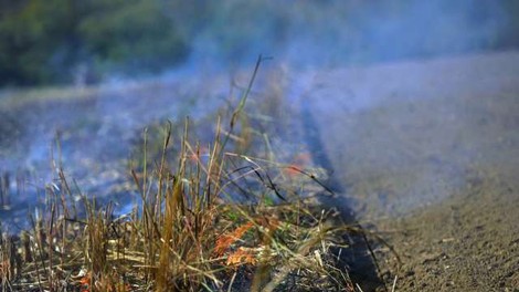 Gori Zakintos! Na grškem otoku že tretji dan divjajo požari!