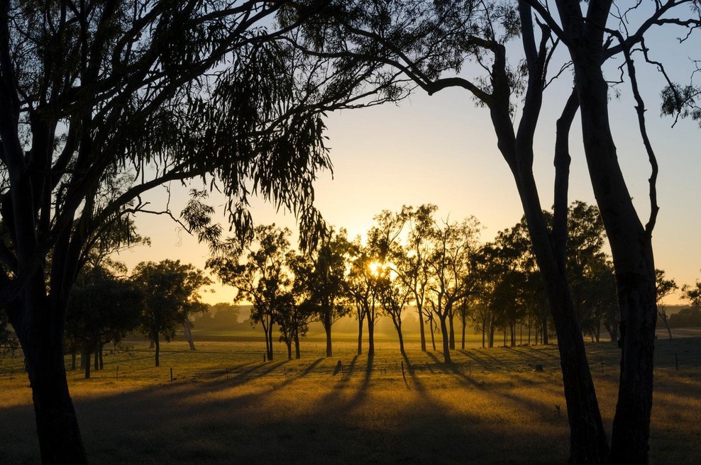 Avstralija letos beleži rekordno toplo zimo! (foto: profimedia)