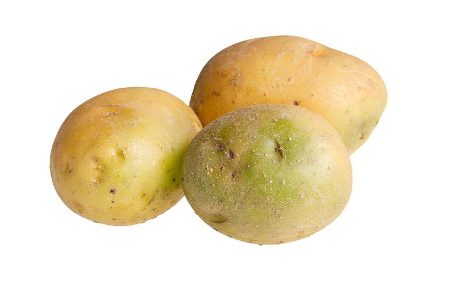 Kaj morate vedeti o zelenem krompirju? (foto: Shutterstock)