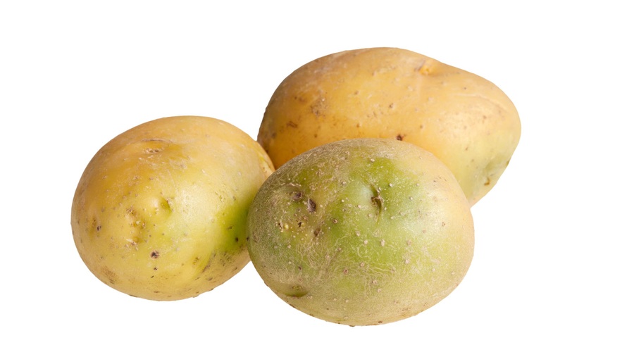 Kaj morate vedeti o zelenem krompirju? (foto: Shutterstock)