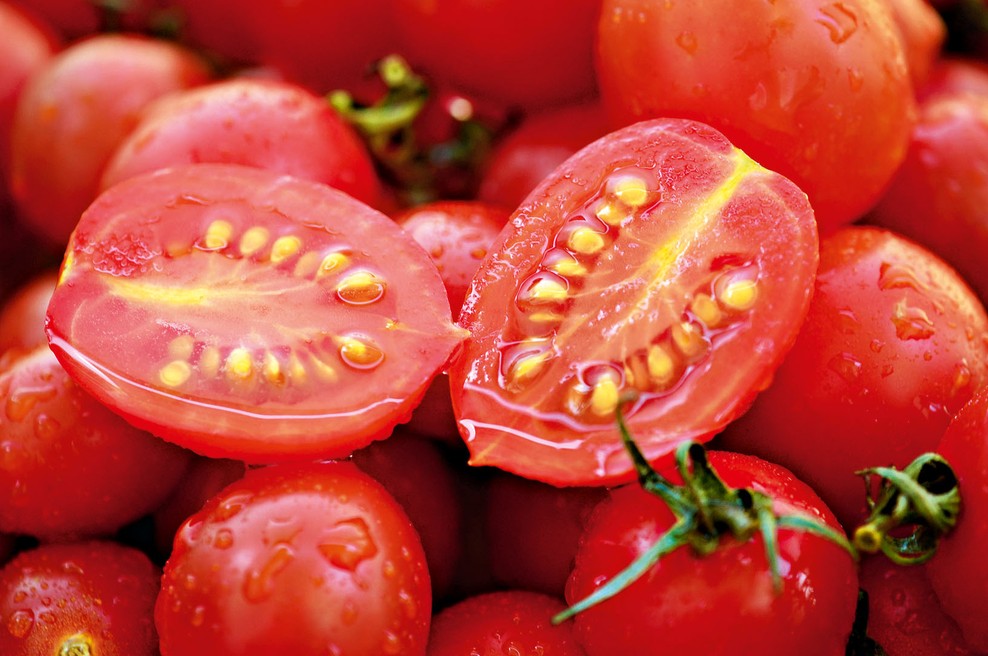 Shranjevanje semen in priprava na zimo (foto: Shutterstock)