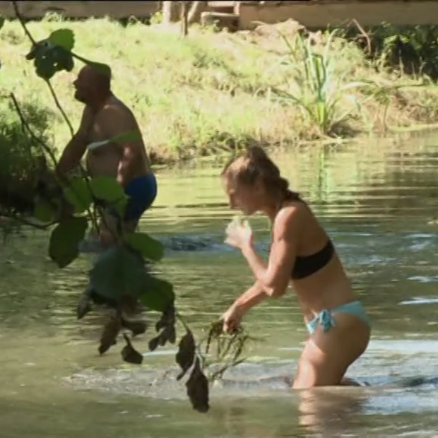 Kmetija: Takole so se tekmovalke v kopalkah lotile čiščenja ribnika!