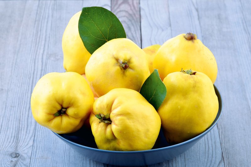 Kutine - zlata jabolka (foto: Shutterstock)