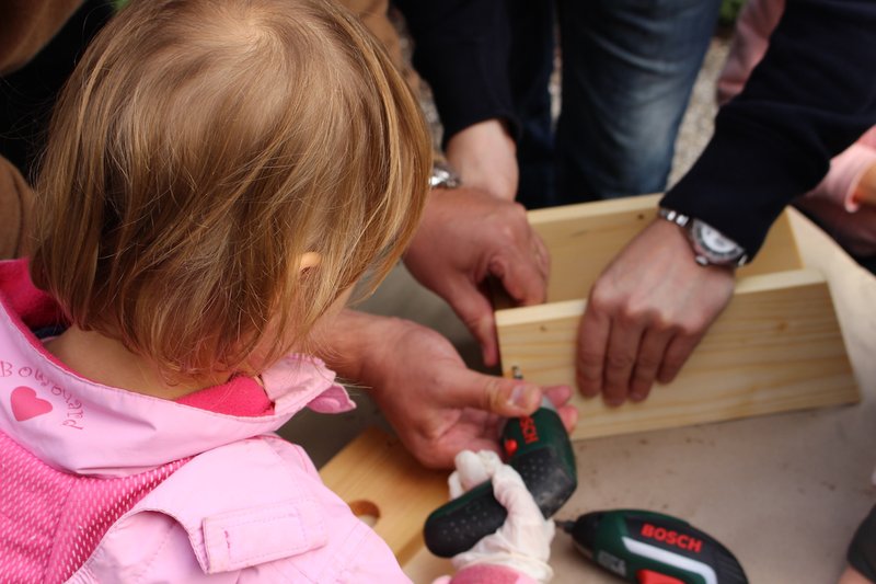 25 let Boscha v Sloveniji: vrtčevski otroci bodo zgradili 150 ptičjih hišic (foto: Bosch Press)
