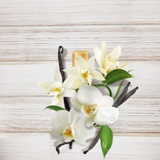 Novi Labello Vanilla Buttercream – vanilijev balzam za ustnice in dušo (foto: Promo)