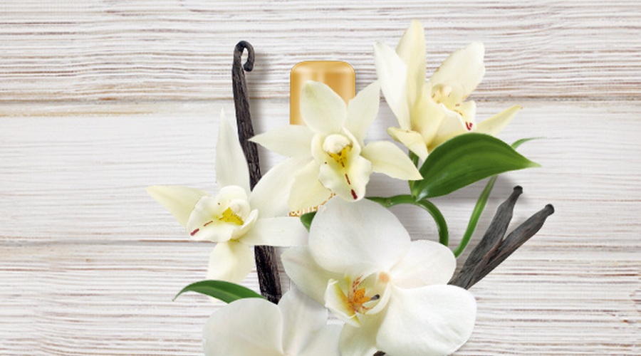 Novi Labello Vanilla Buttercream – vanilijev balzam za ustnice in dušo (foto: Promo)