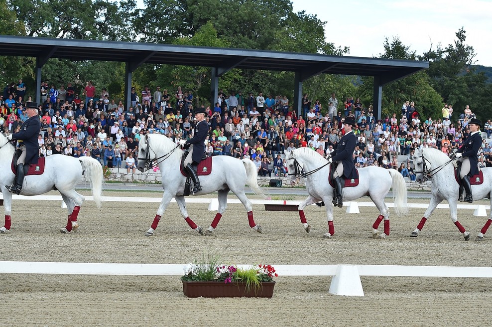 Sloviti francoski trener Benjamin Aillaud bo odslej tudi trener dresure. (foto: Sibil Slejko)