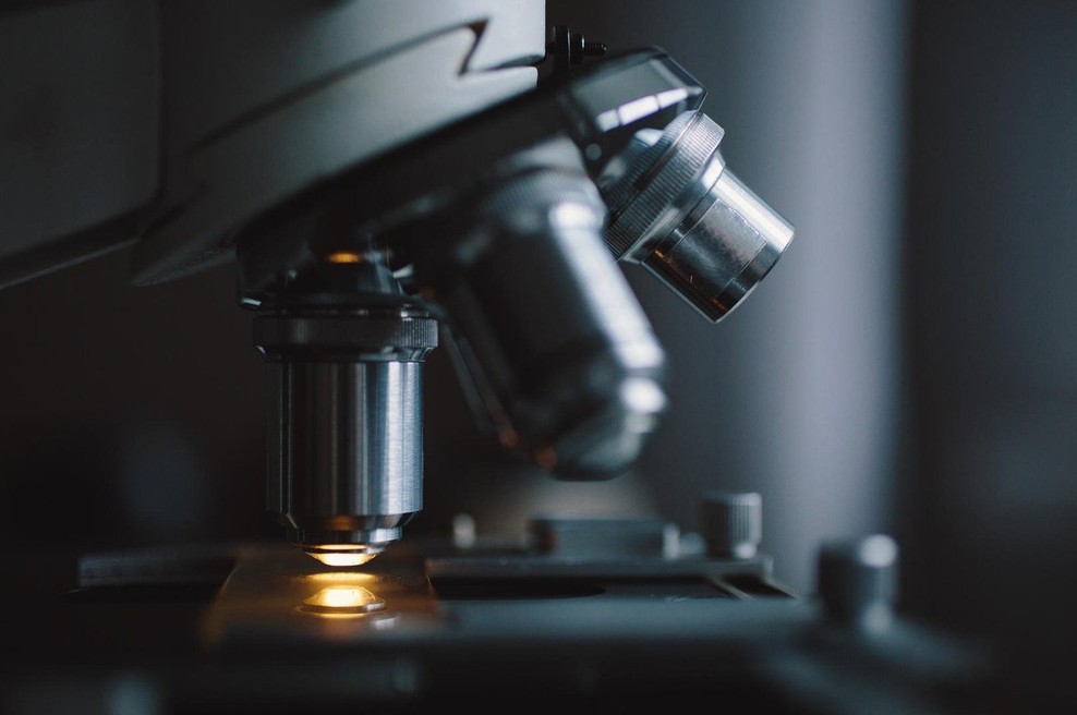 Francoska znanstvenika morda odkrila vzrok disleksije (foto: profimedia)